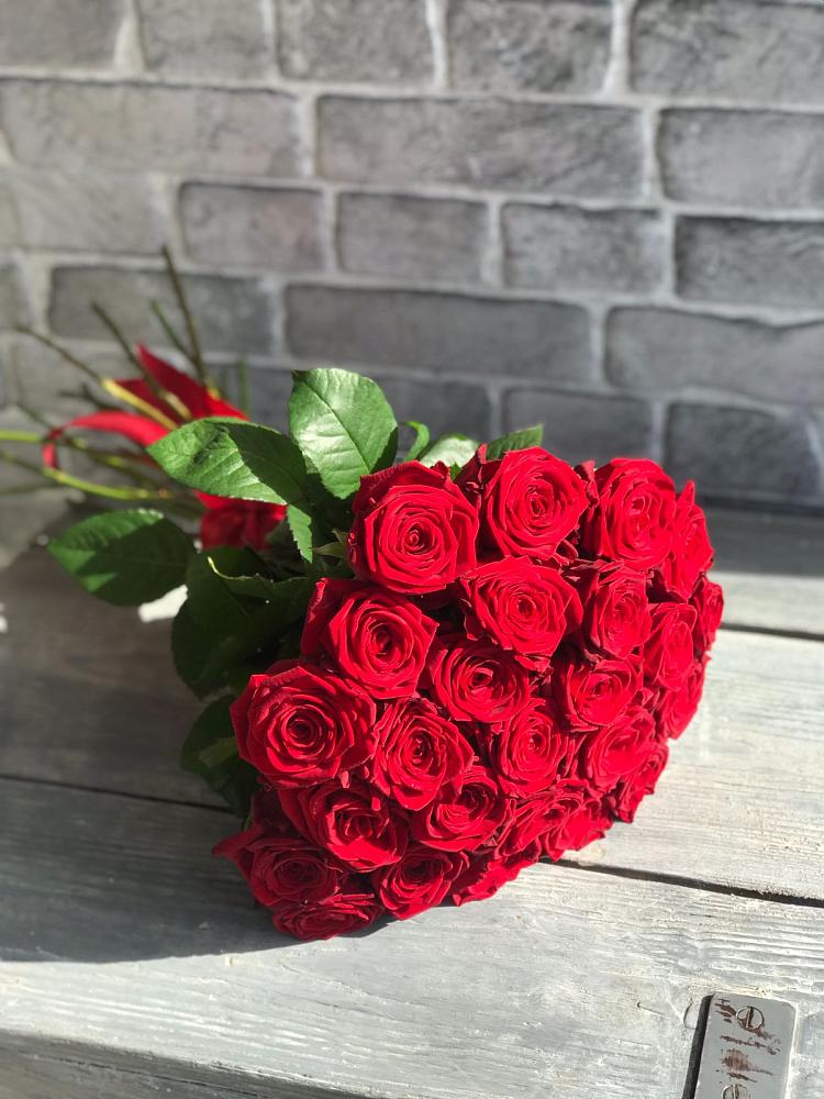 Букет Красные розы Фридом в Ясные Зори