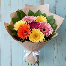 Букет цветов из:  Герберы в Ясные Зори