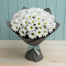 Букет цветов из:  Хризантемы в Ясные Зори