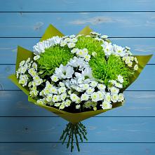 Букет цветов из:  Хризантемы #REPLACE_PRED# Ясные Зори