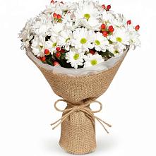 Букет цветов из:  Хризантемы #REPLACE_PRED# Ясные Зори